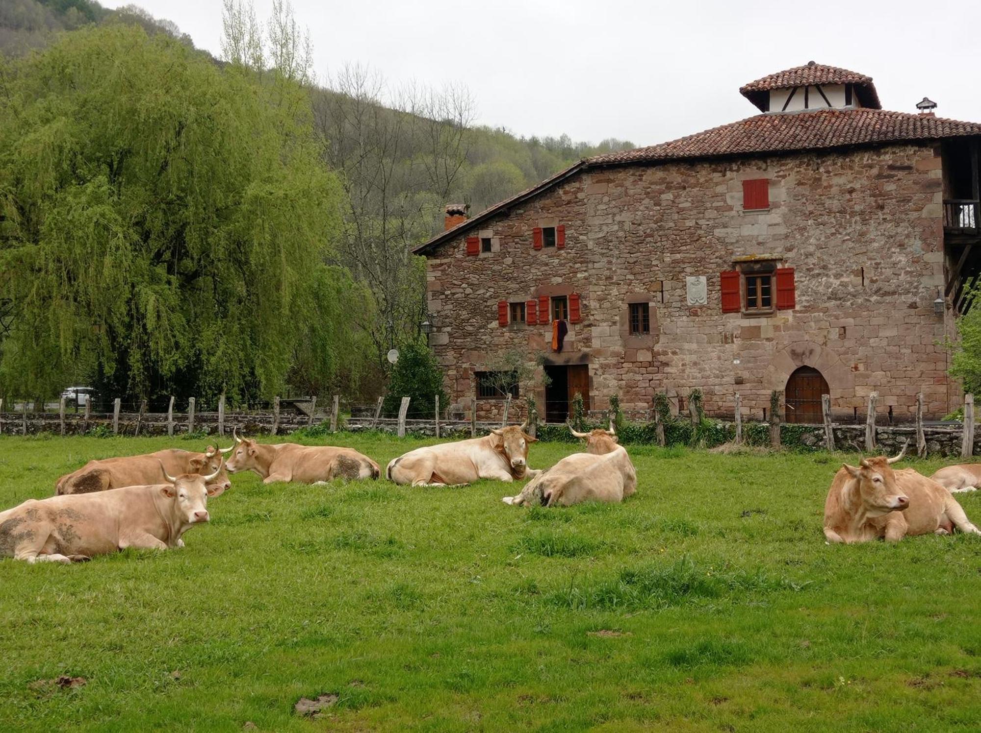 Apartamento Baztan - Arraioz Arráyoz Exterior foto